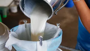Milchwirtschaftliche/r Laborant/in