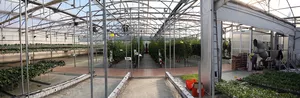 Pflanzentechnologe / Pflanzentechnologin