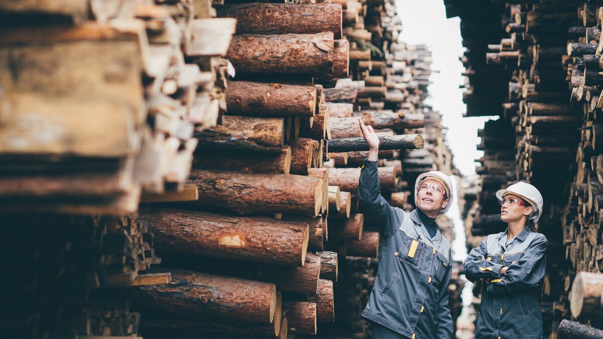 Holzbearbeitungsmechaniker bei der Arbeit