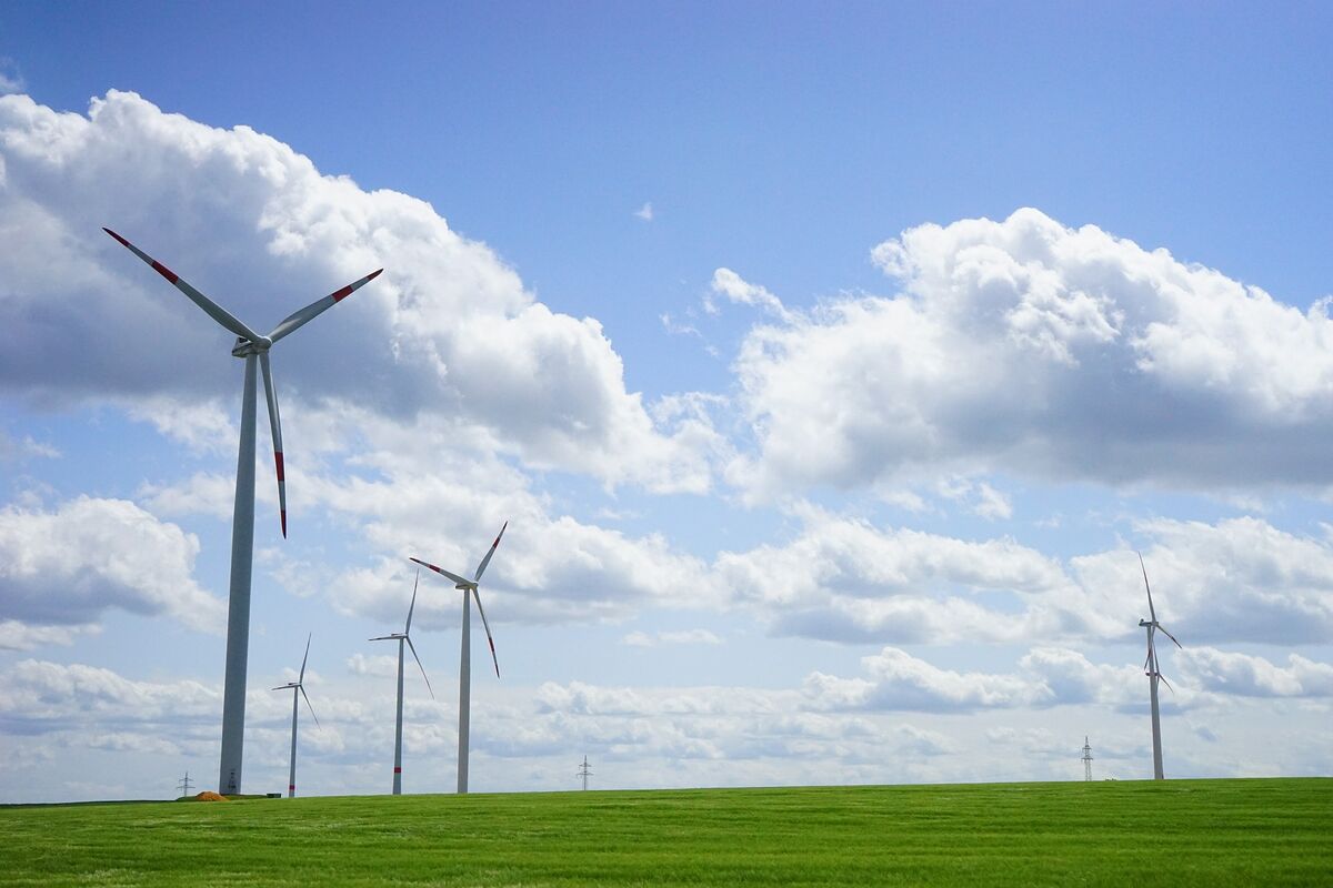 Windräder sind wichtige Versorger