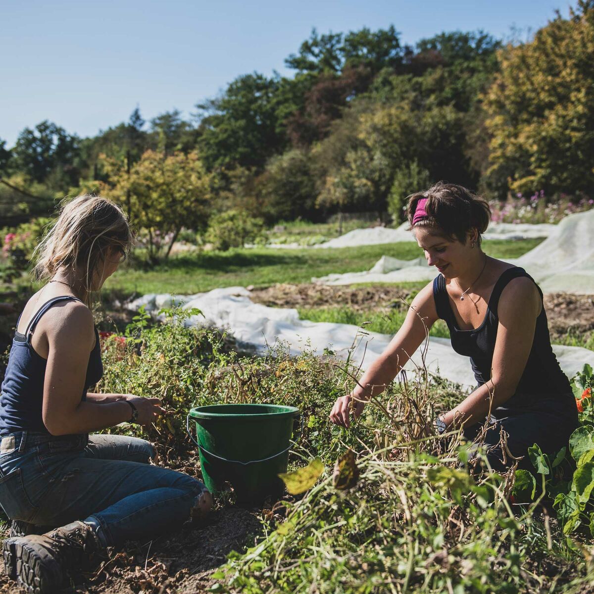 Bildungsgang Gartenbau