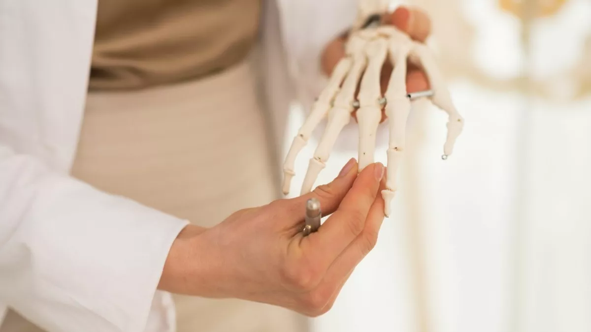 Biologiemodellmacher bei der Arbeit