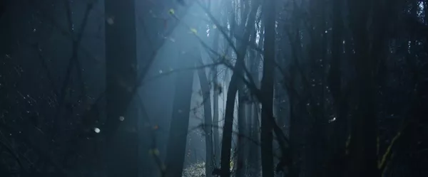 Halloween - Gruselige Berufe rund um den Tod