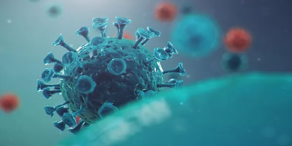 DGB-Corona-Ausbildungsstudie