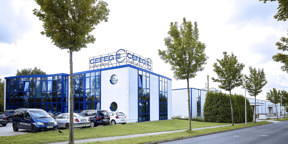 CEFEG Federn- und Verbindungstechnik Chemnitz GmbH