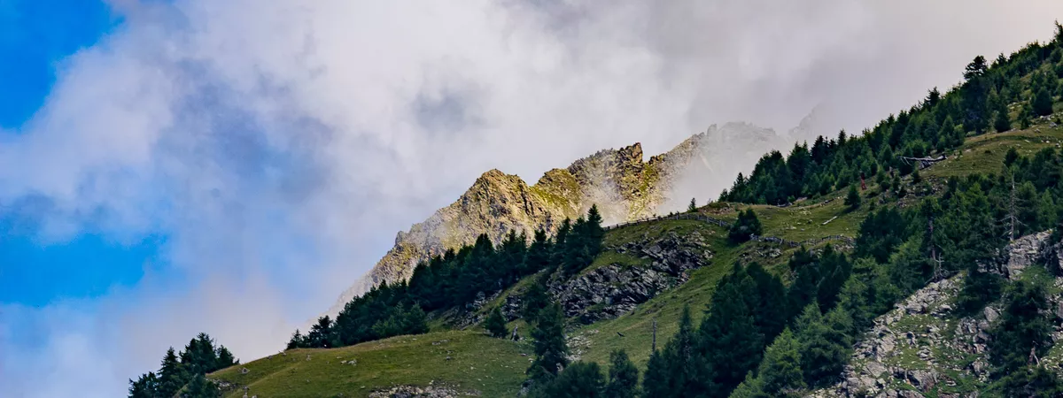 Lehrstellen Südtirol