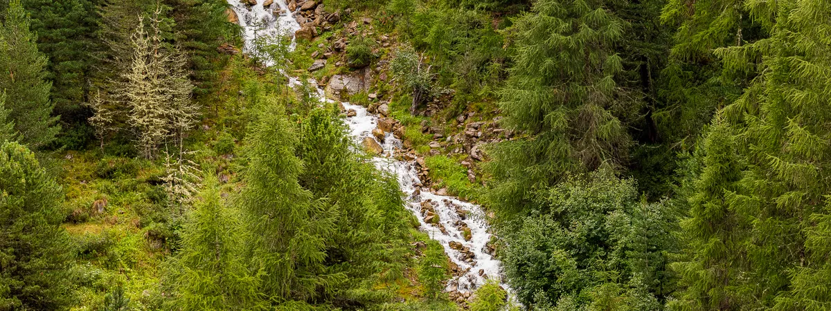 Lehre Südtirol