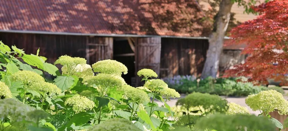 Daldrup Gärtner von Eden