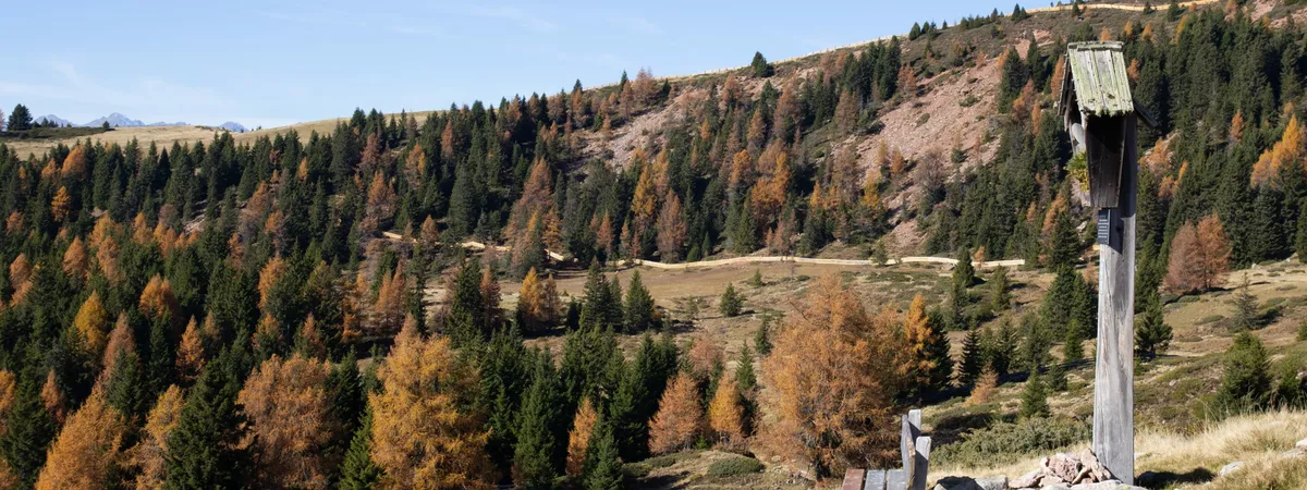 Südtirol