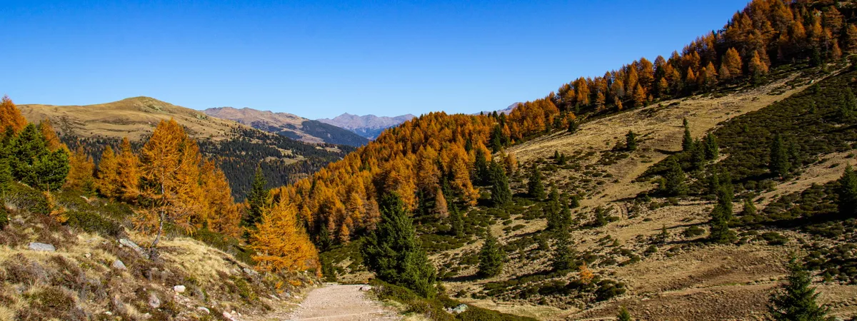 Lehre Südtirol