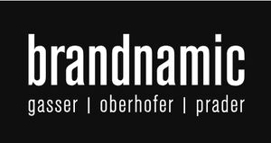 Logo Brandnamic GmbH