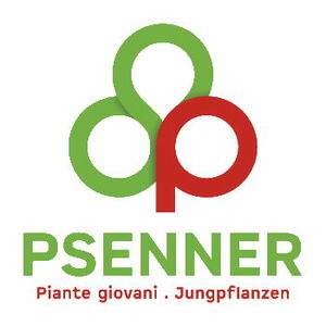 Andreas Psenner e.G. - Logo