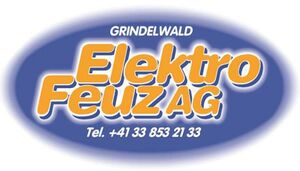 Logo Elektro Feuz AG