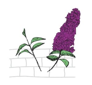 Logo Kellermann Gartengestaltung