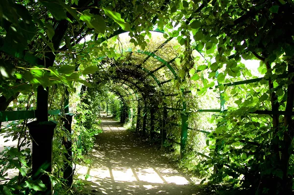 Gärtner Fachrichtung Garten- und Landschaftsbau