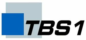 Berufskolleg der Stadt Bochum, TBS 1 - Logo